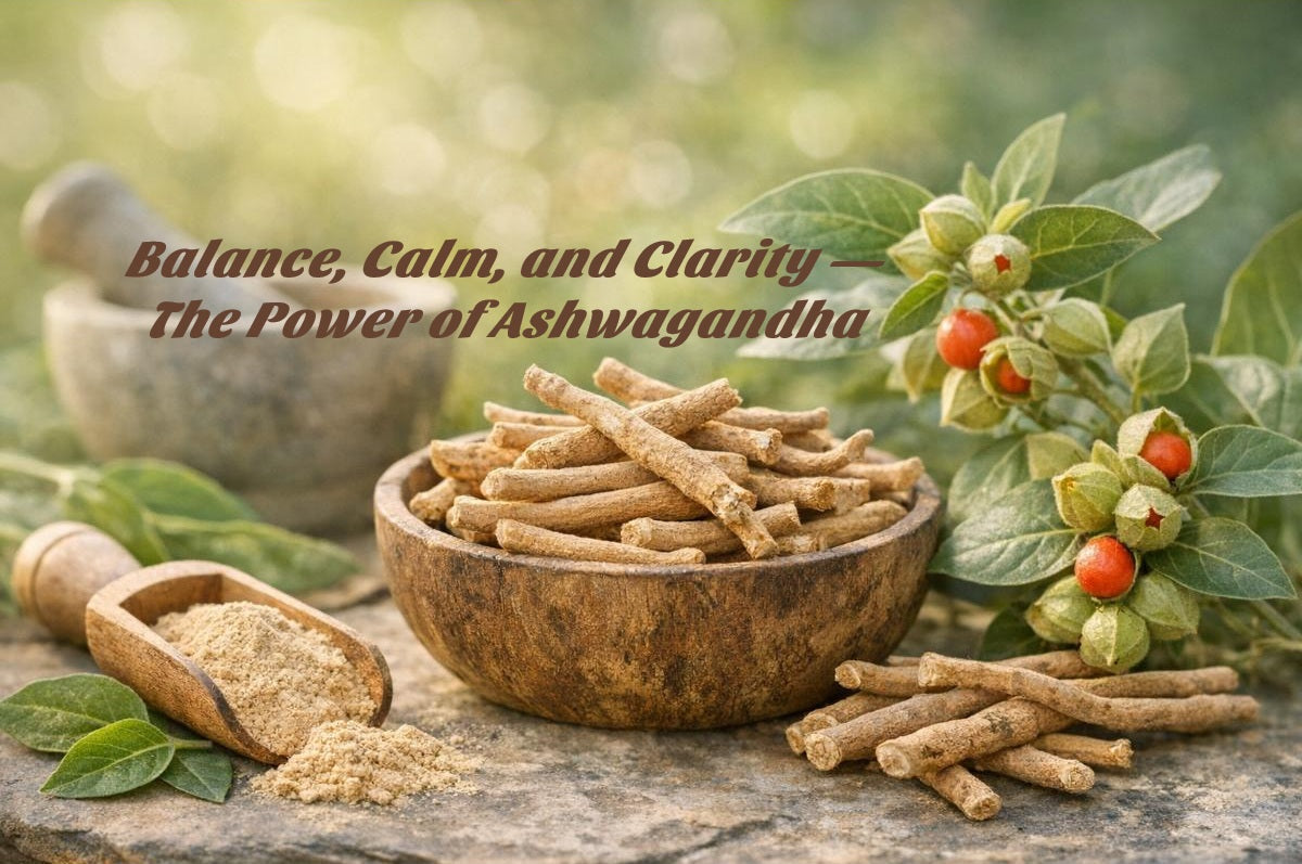 KSM-66 vs regular ashwagandha differences guide