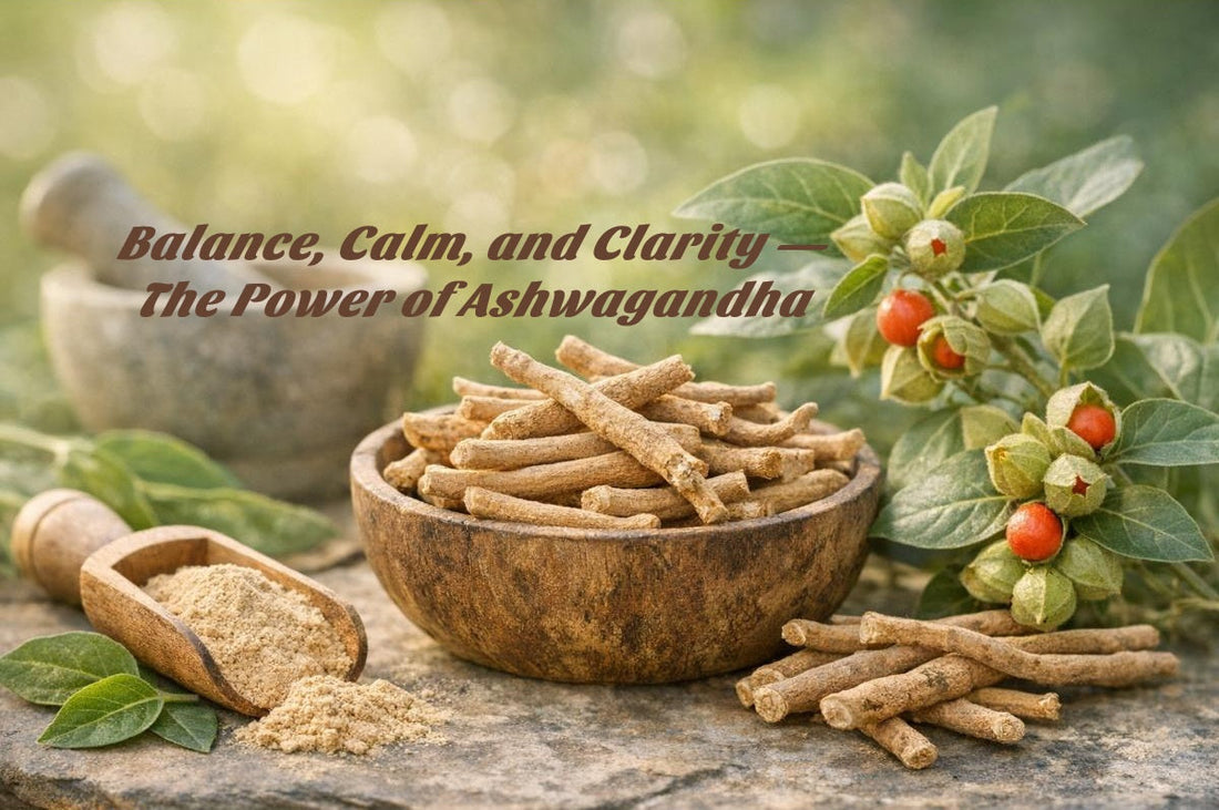 KSM‑66 vs Regular Ashwagandha: What’s the Difference and Which One Should You Choose?