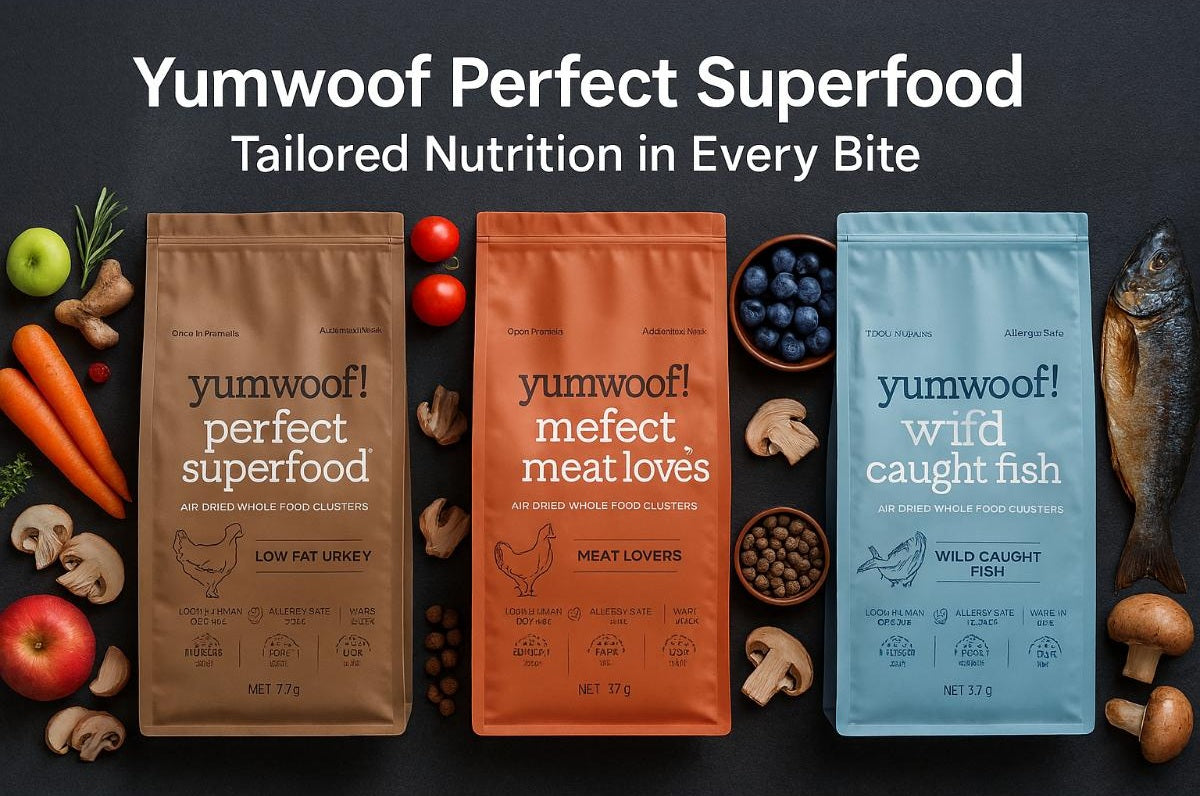 Three Yumwoof Perfect Superfood dog food bags with fresh ingredients — turkey, meat, and fish — displayed on a dark background with bold white text