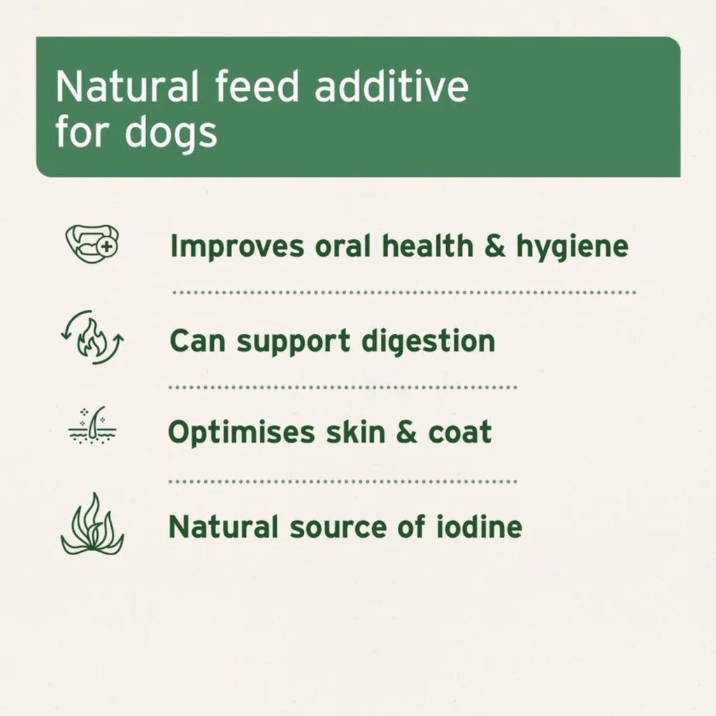 AniForte Seaweed Powder for Dogs 250g Natural Supplement