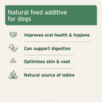 AniForte Seaweed Powder for Dogs 250g Natural Supplement