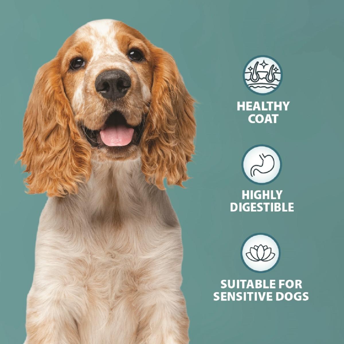 burns sensitive grain free dog food turkey potato 12kg adult senior dogs