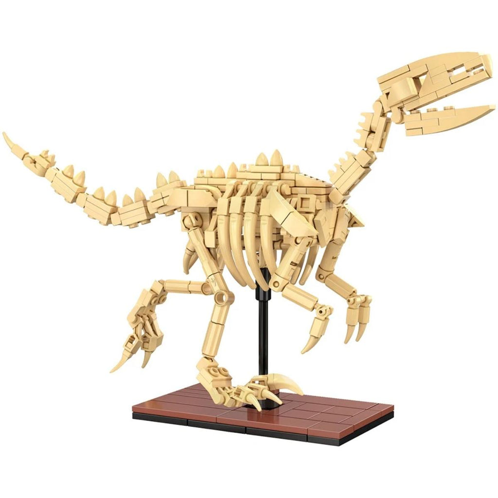 CaDA Dinosaur Fossils Velociraptor 256 piece brick model kit C59014W box and completed skeleton
