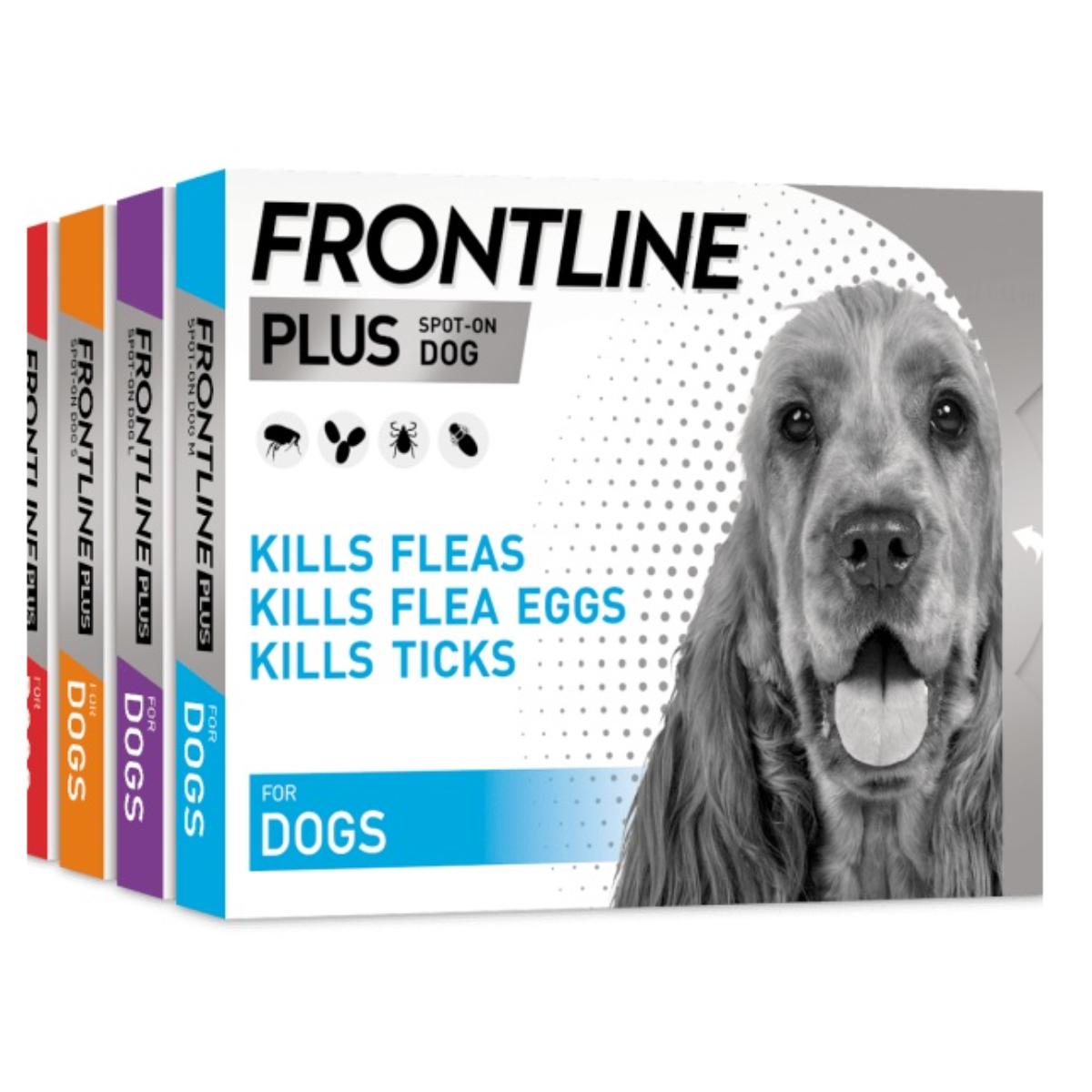 Frontline Plus for Dogs flea and tick treatment spot‑on box