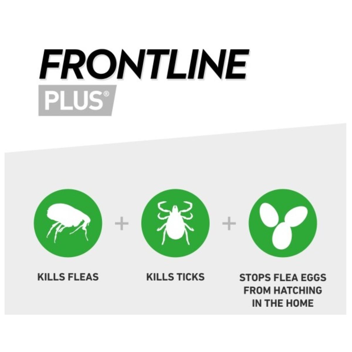Frontline Plus for Dogs flea and tick treatment spot‑on box