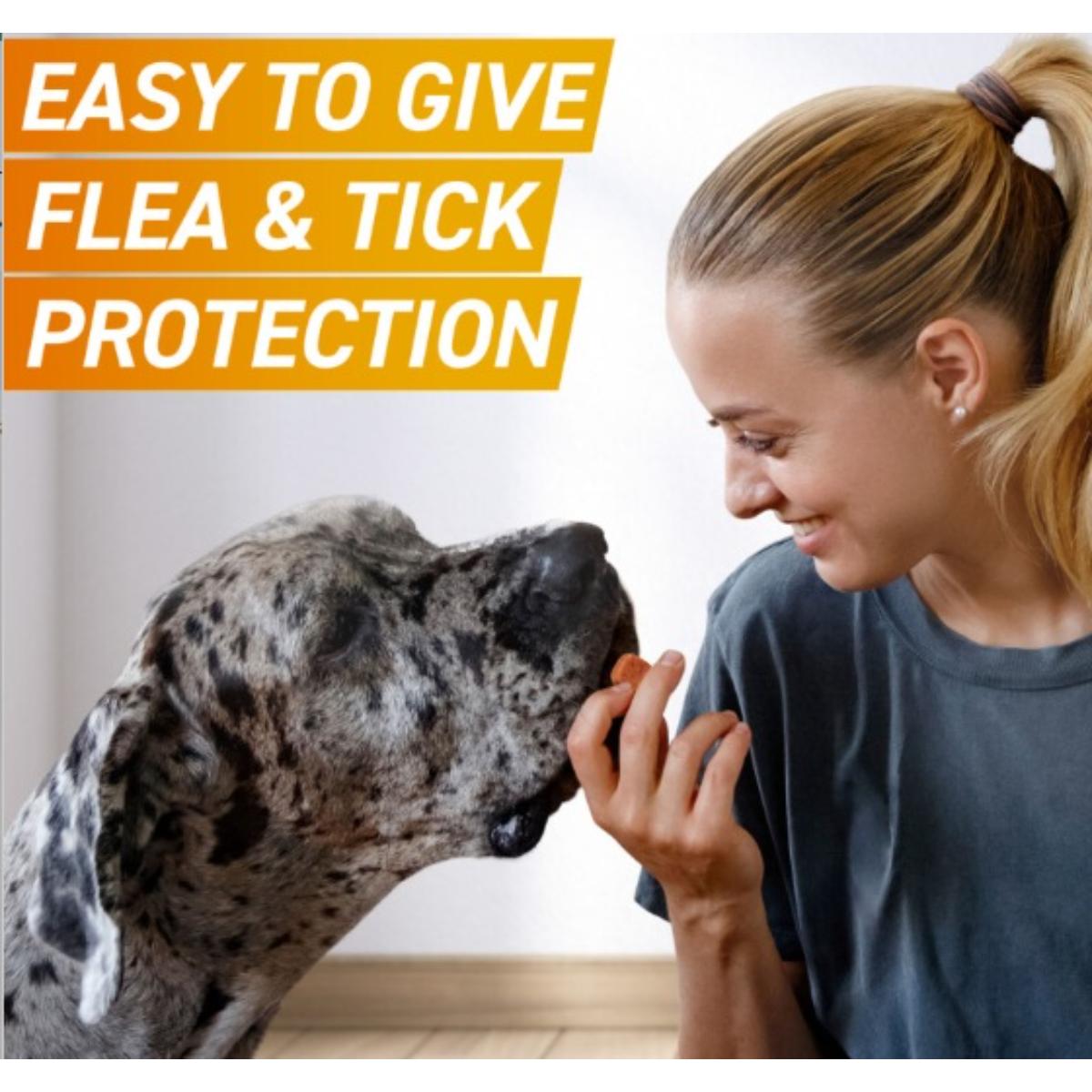 FRONTPRO Chewable Tablets flea and tick treatment for dogs in blister pack and box