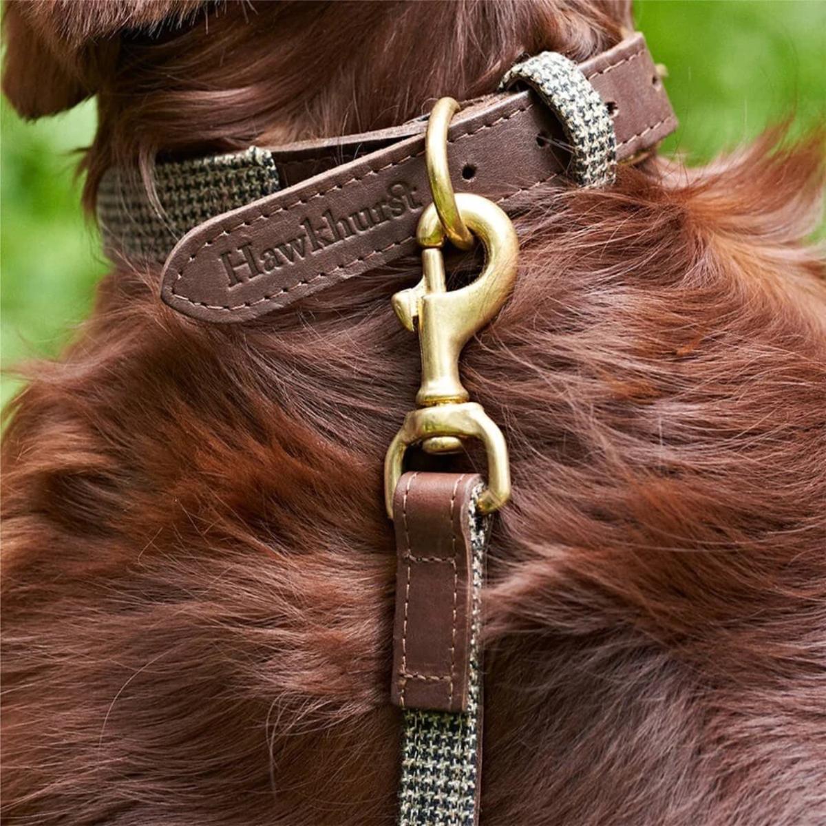 GREAT & SMALL Hawkhurst Leather Tweed Dog Collar