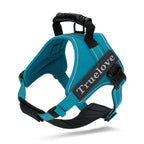 Truelove Handle Dog Harness with padded top handle
