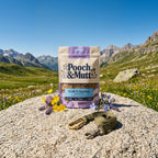 Pooch & Mutt Health & Digestion Postbiotic Fish Treats for dogs