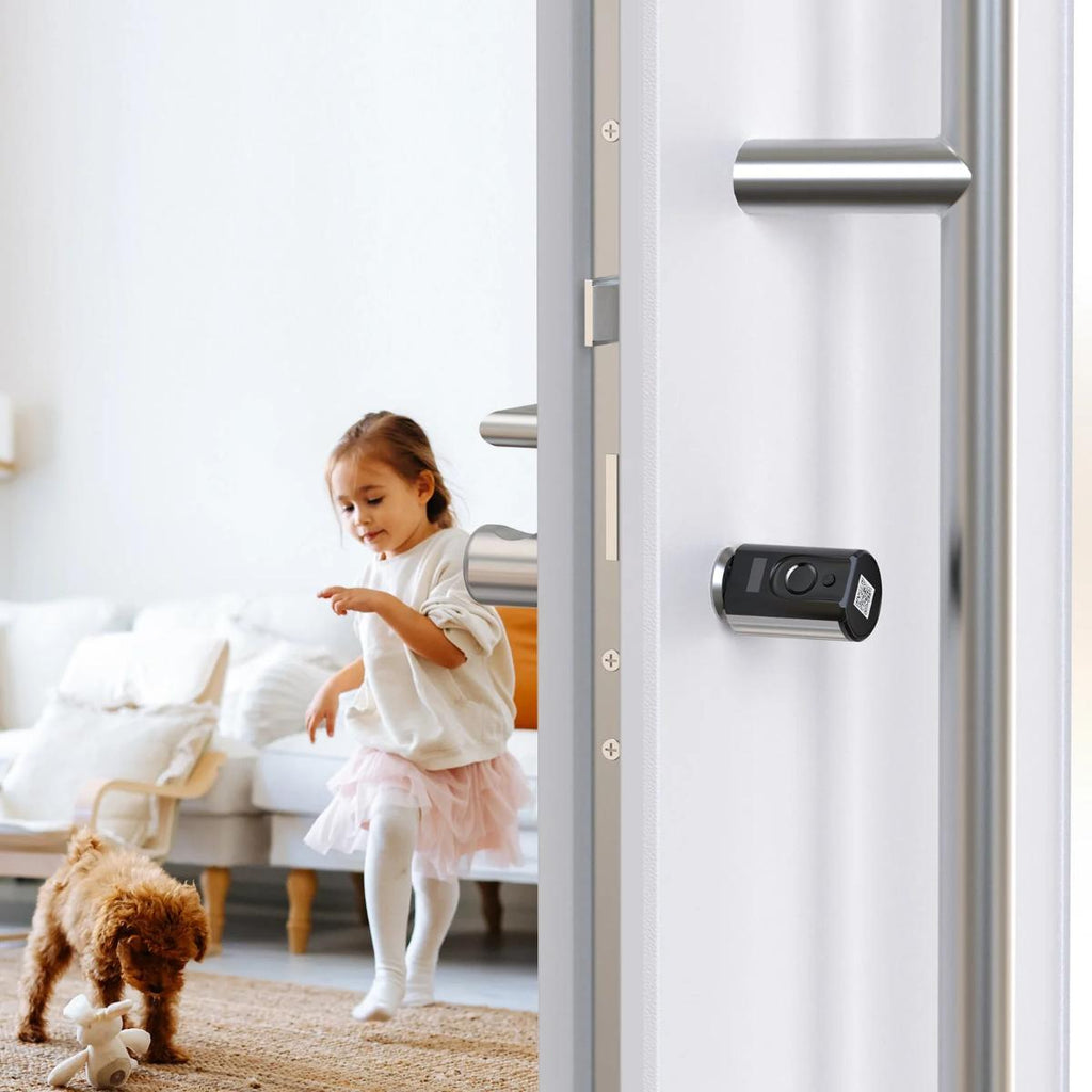 WELOCK Touch63 smart lock cylinder