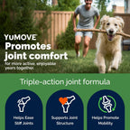 Man playing fetch with a dog in a backyard, promoting YUMOVE joint supplement.
