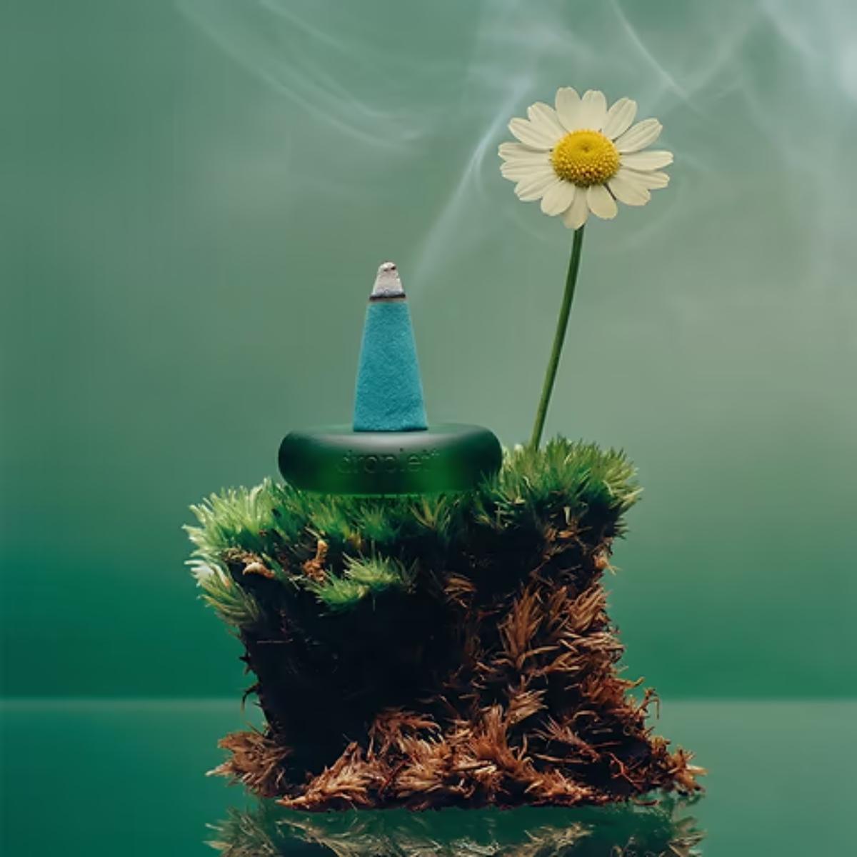 Artistic depiction of a flower growing from a textured base with a green cone on a reflective surface.