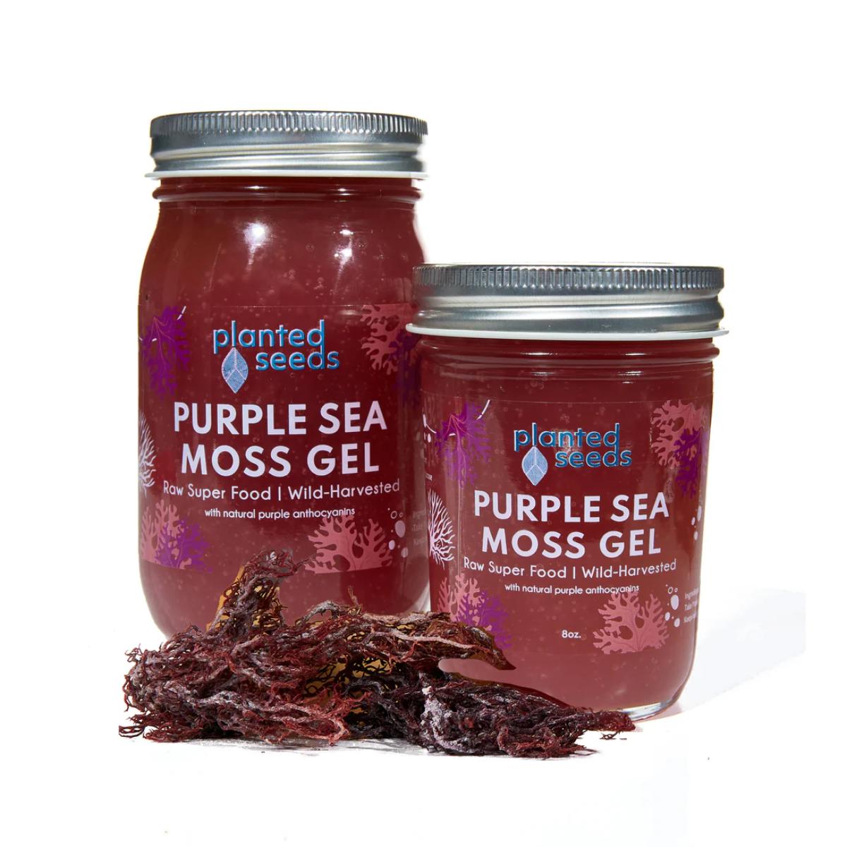 Planted Seeds Purple Sea Moss Gel 16 oz jar front view