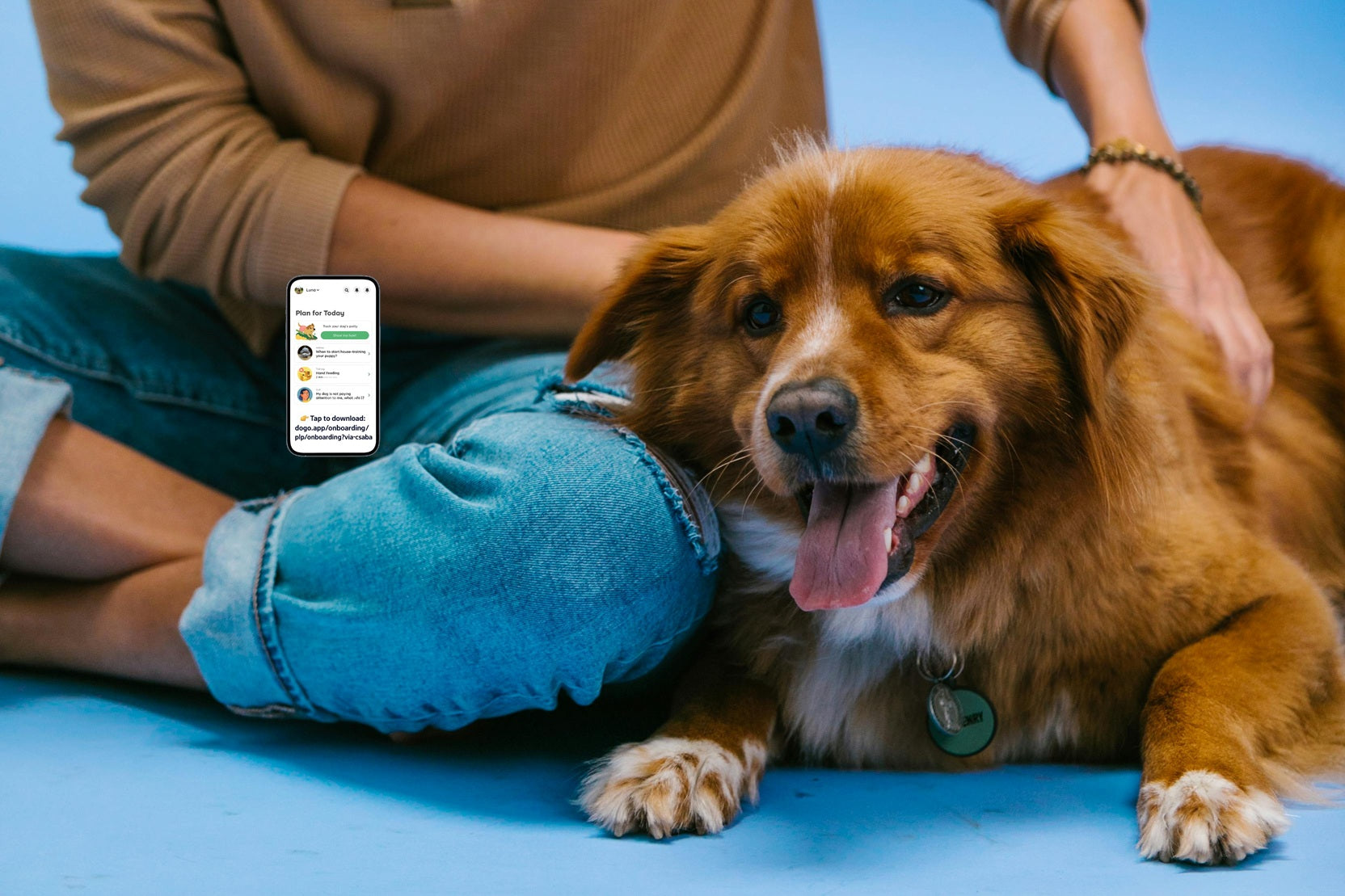 Happy dog and owner using Doggo App — Pet Wellness banner for Creawell.store
