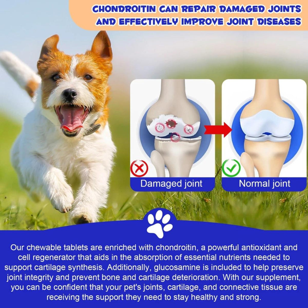 Dog hip and joint support 180 chewable tablets for canine mobility