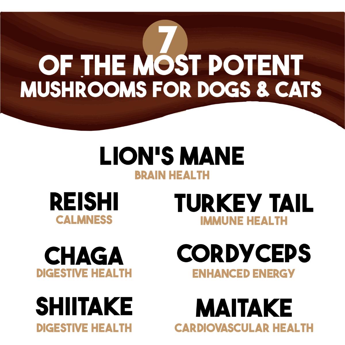 King Kanine Mushroom Plus+ 7-mushroom superfood supplement for dogs and cats