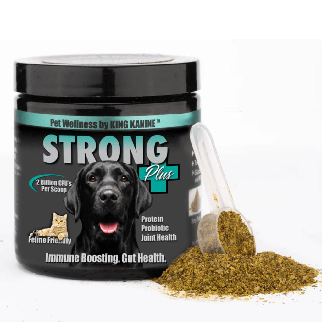 King Kanine Strong Plus immune support supplement for dogs and cats – natural formula for health and vitality