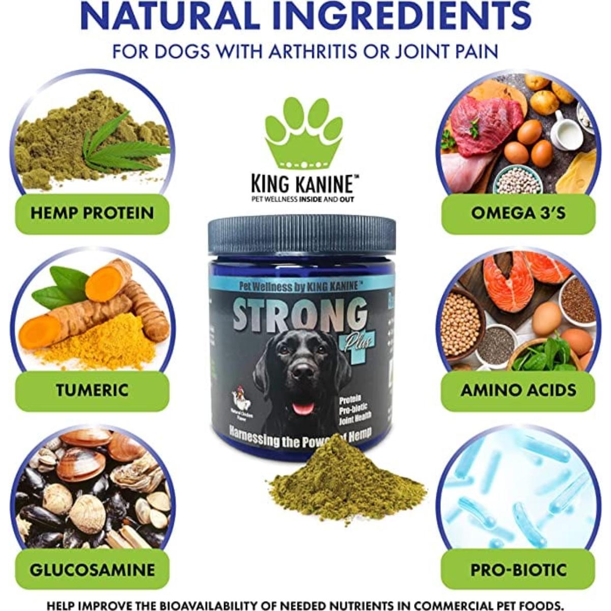 King Kanine Strong Plus immune support supplement for dogs and cats – natural formula for health and vitality