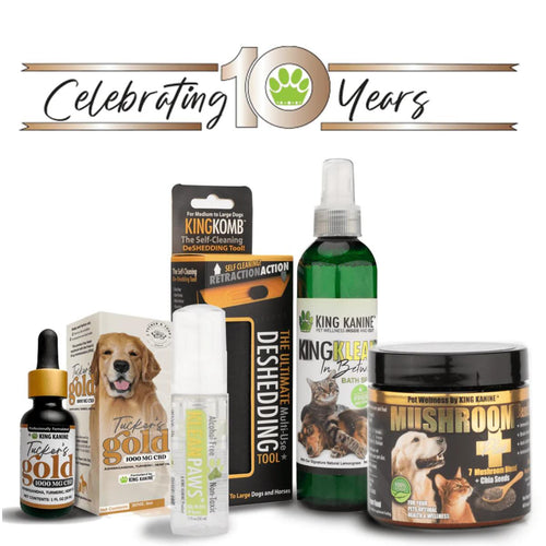 King Kanine 10-Year Anniversary Bigger Bundle – CBD, supplementation, grooming tools & paw care