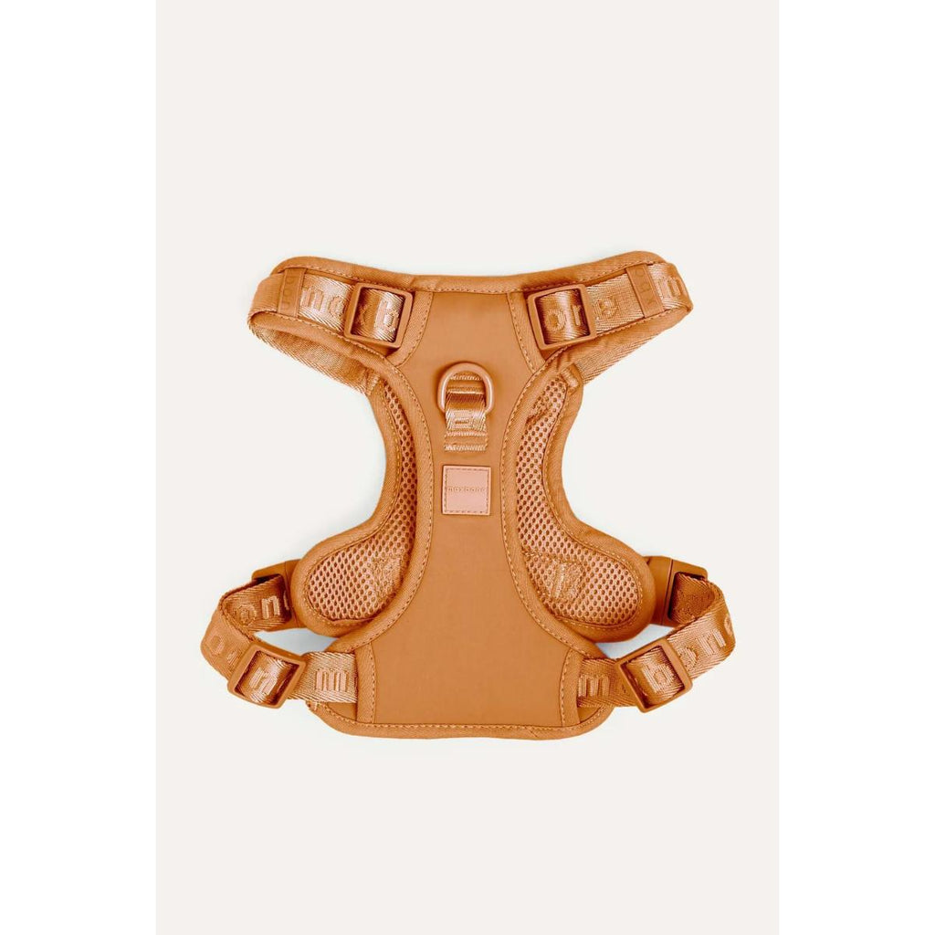 MB Easy Fit Harness by maxbone in adjustable lightweight design for dogs