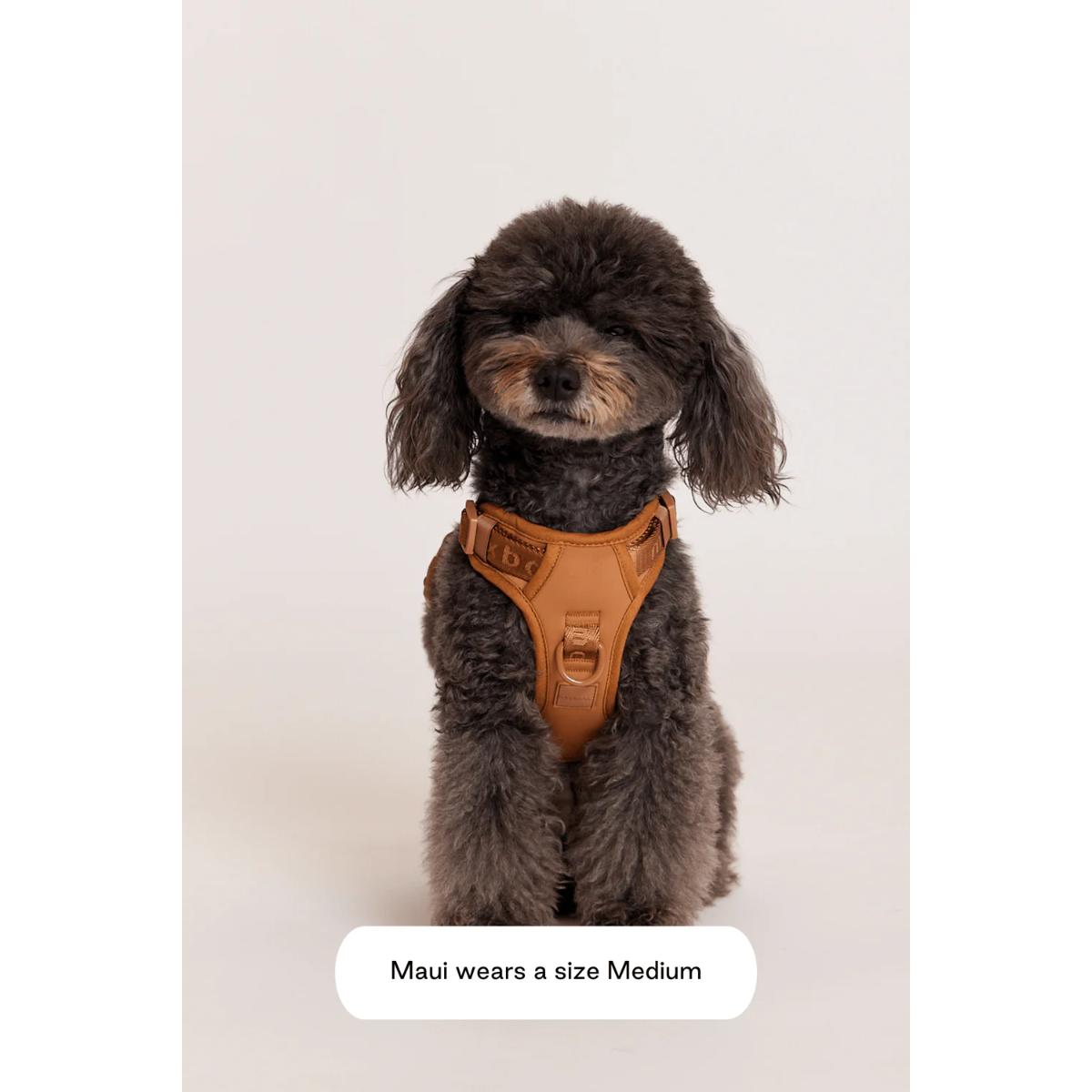 MB Easy Fit Harness by maxbone in adjustable lightweight design for dogs