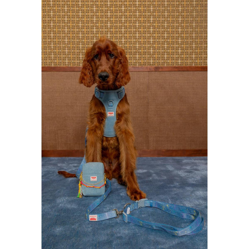 Stranger Things x maxbone Walk Set leash and harness bundle for dogs