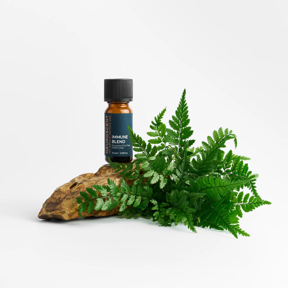 Essential oil blend for immune support – 10ml bottle