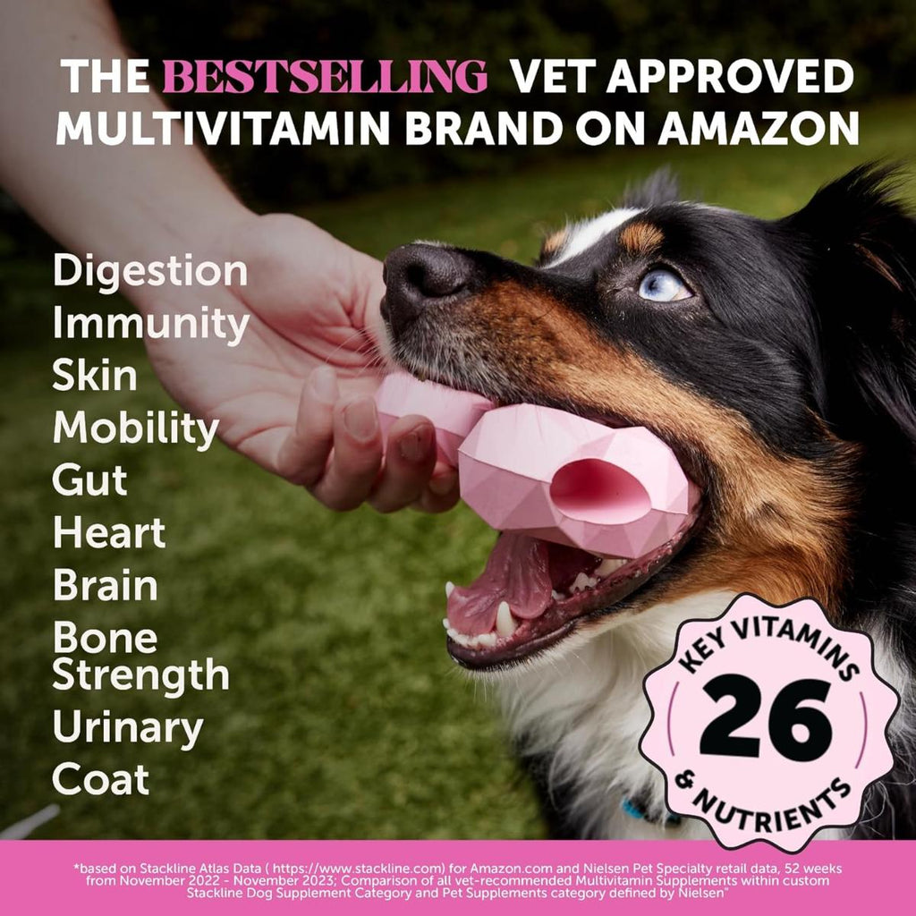 Dog multivitamin soft chews with glucosamine, chondroitin, probiotics and omega fish oil – 90 count