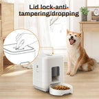 Paws at Peace Smart Pet Feeder 2L automatic food dispenser with programmable timer and portion control for cats and dogs