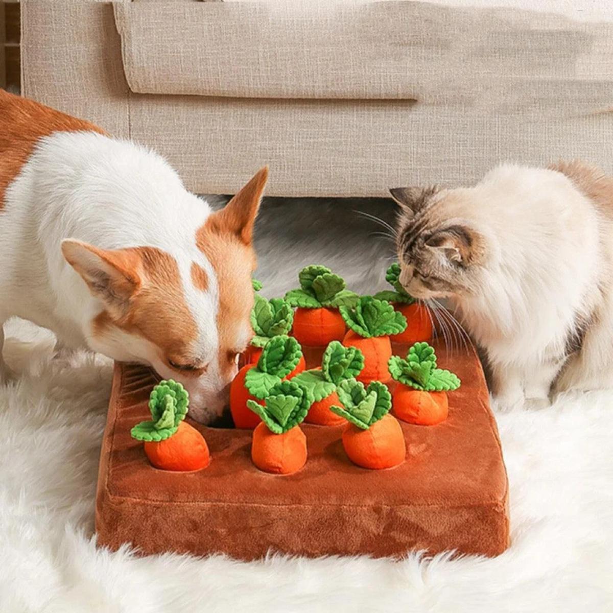 Pet Snuffle Carrot Puzzle Toy interactive dog enrichment mat