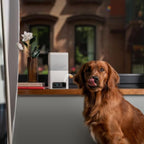 Petcube Bites 2 Lite smart pet camera and treat dispenser device image
