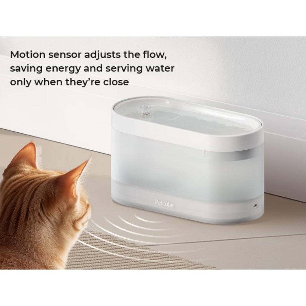 Petcube Fountain smart pet water fountain for fresh pet hydration