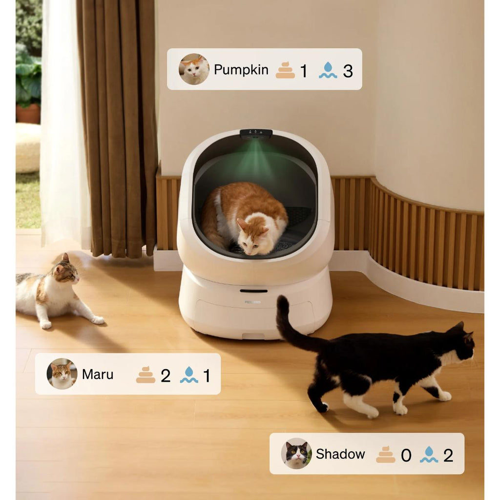 smart self cleaning litter box for cats