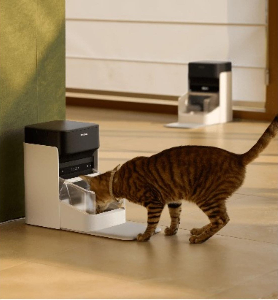 A brown tabby cat is shown drinking from a white and black automatic pet water dispenser in a modern indoor room with light wood floors.