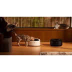 petlibro polar feeder front view with cats