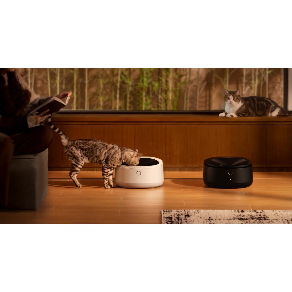 petlibro polar feeder front view with cats