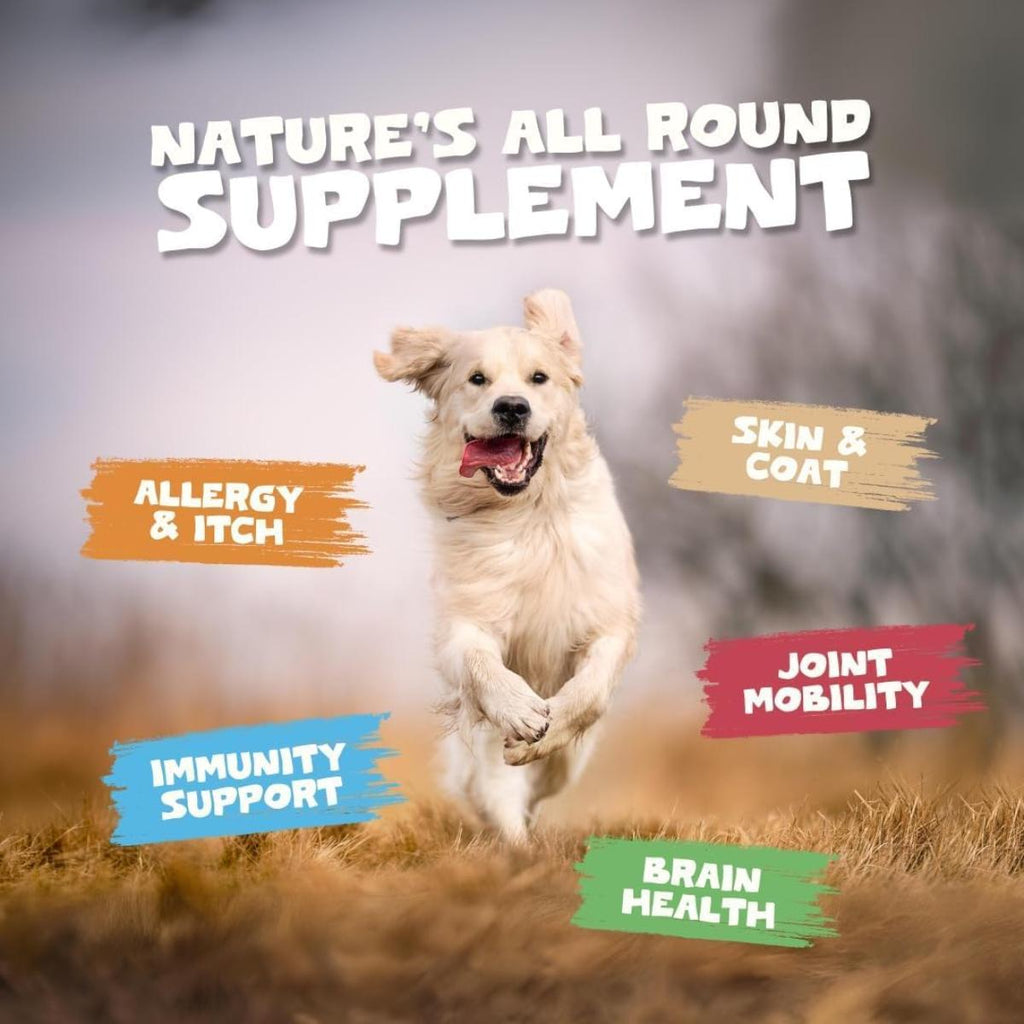 Pets Purest Scottish Salmon Oil – Natural Omega‑3, 6 & 9 Supplement for Dogs and Cats