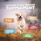 Pets Purest Scottish Salmon Oil – Natural Omega‑3, 6 & 9 Supplement for Dogs and Cats