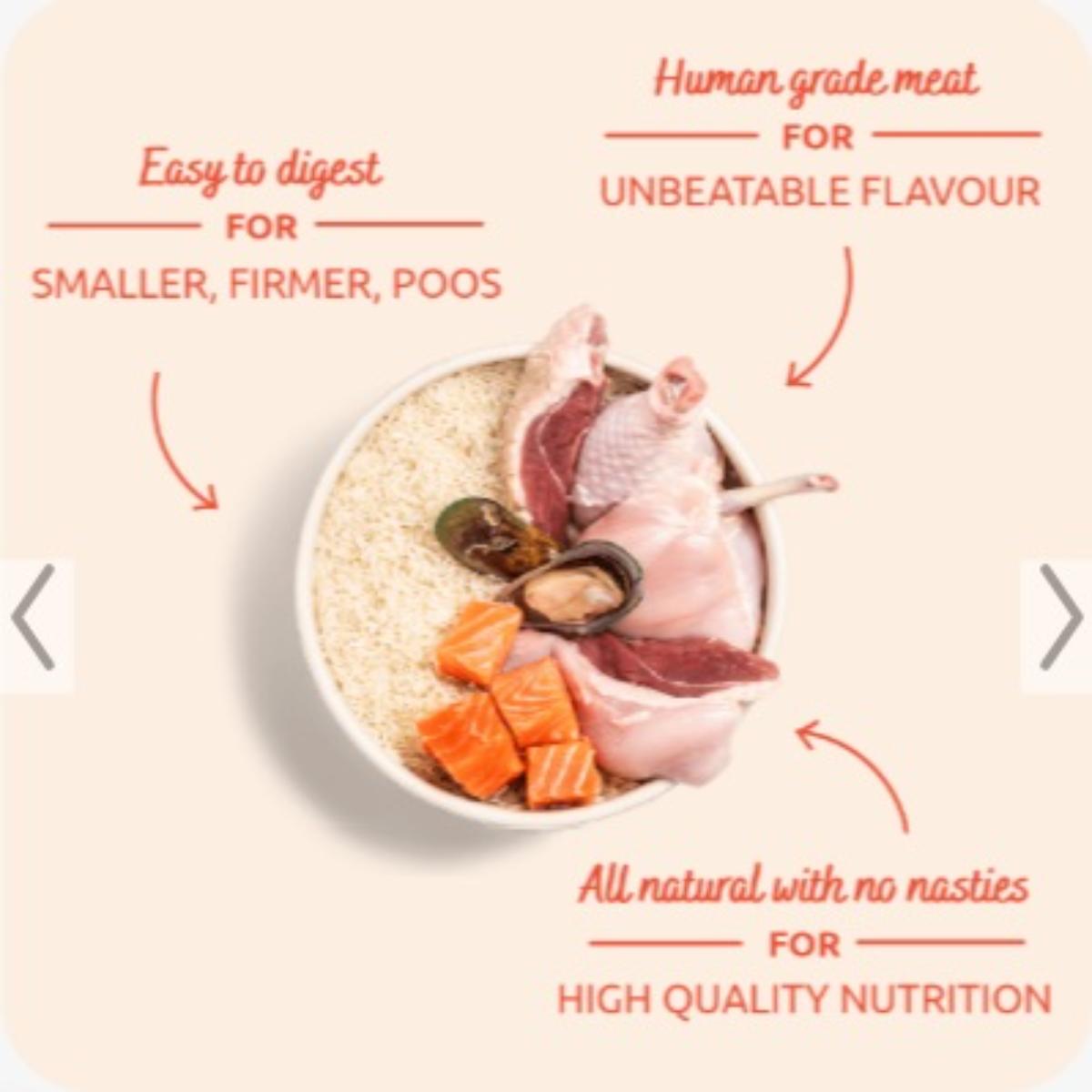 PitPat Adult Dog Food Natural Complete Dry Food with Chicken Duck and Salmon