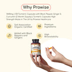 turmeric curcumin capsules bottle