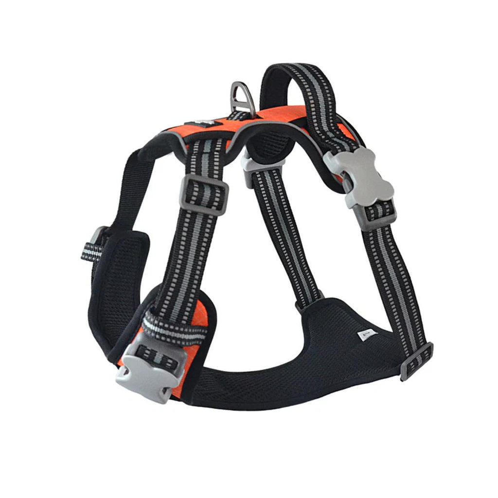 orange dog carrier backpack small dogs
