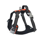 orange dog carrier backpack small dogs