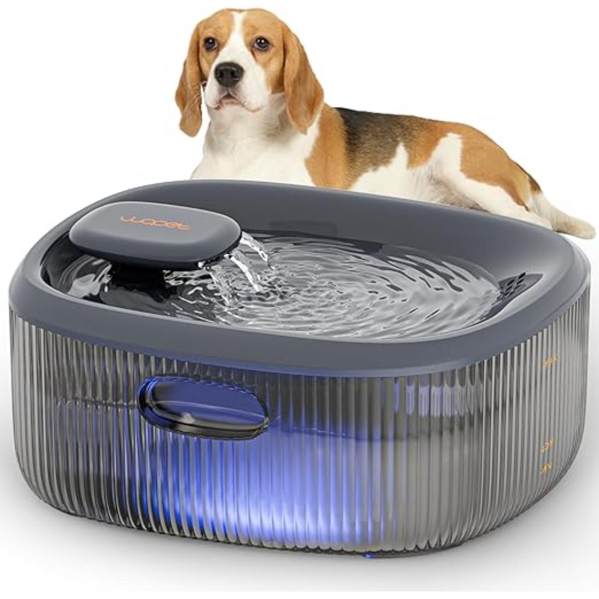 Large dog drinking from WOPET Basin pet water fountain with 6L capacity

