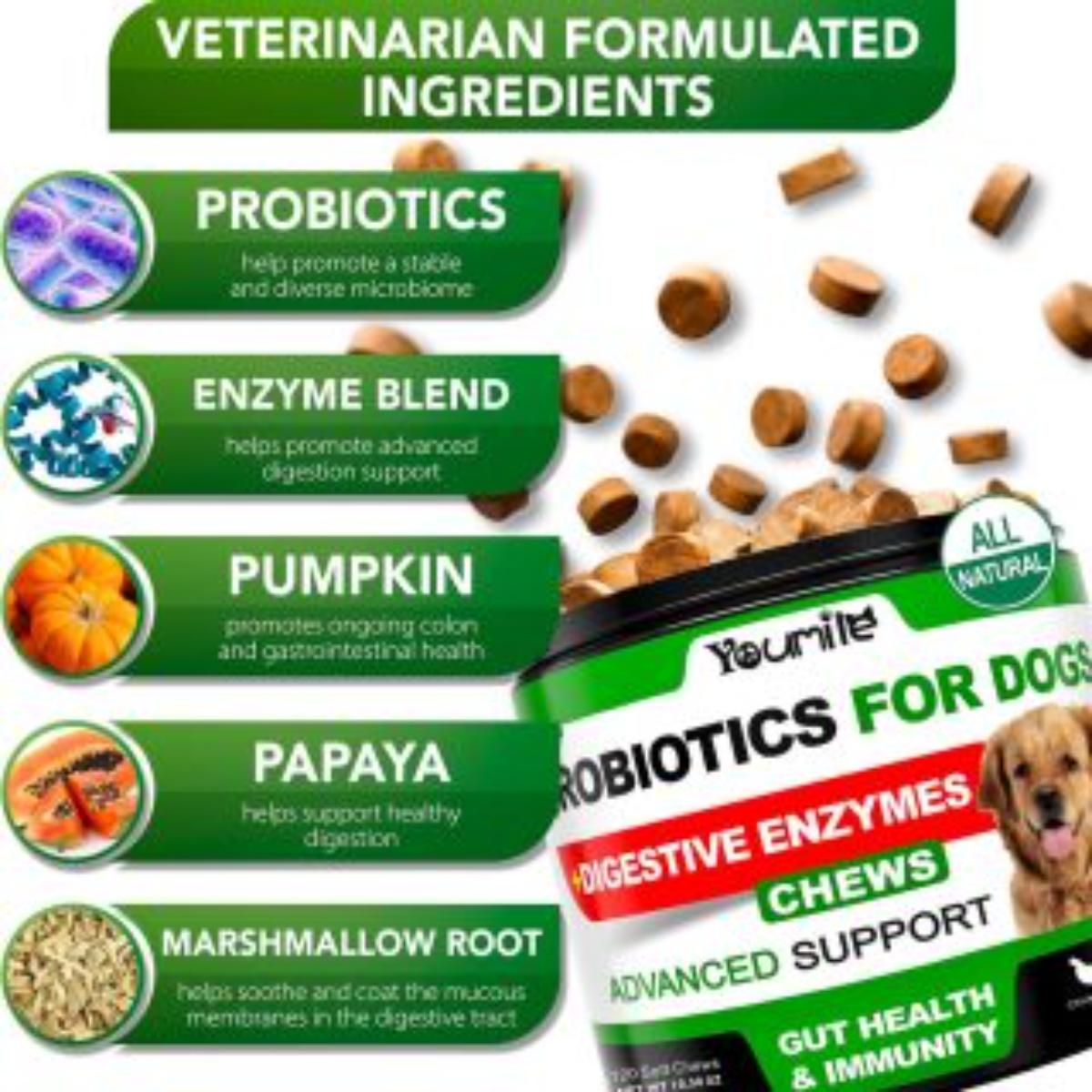 Youmile probiotic soft chews for dogs supporting digestive gut and immune health