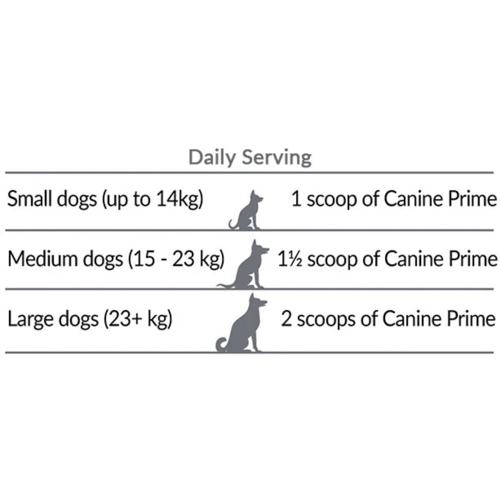 Canine Prime dog health supplement jar with natural superfoods and probiotics for dogs