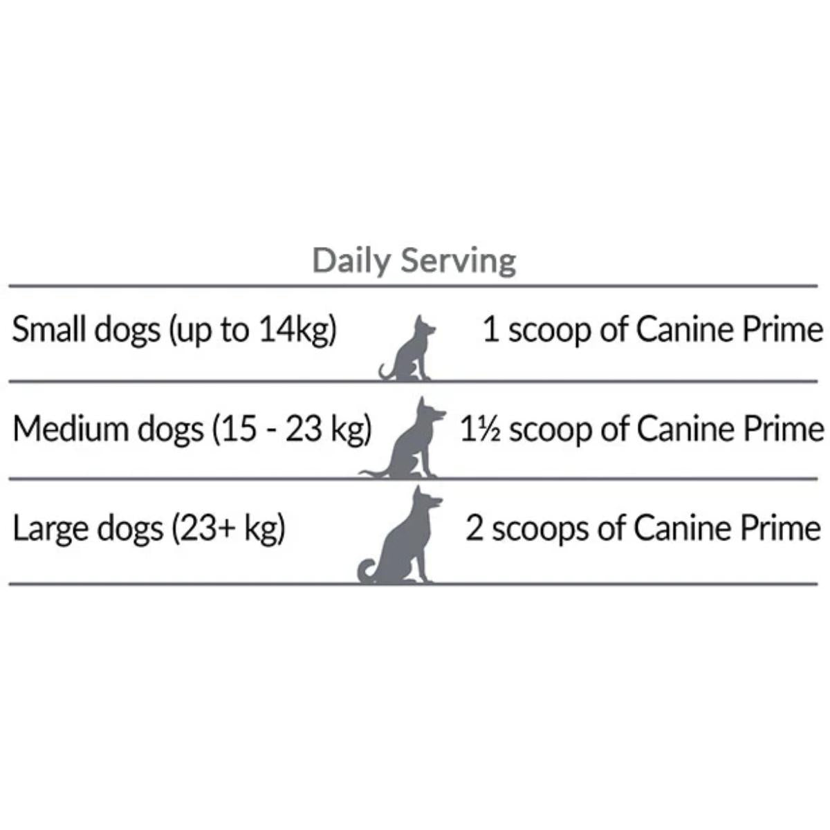 Canine Prime dog health supplement jar with natural superfoods and probiotics for dogs