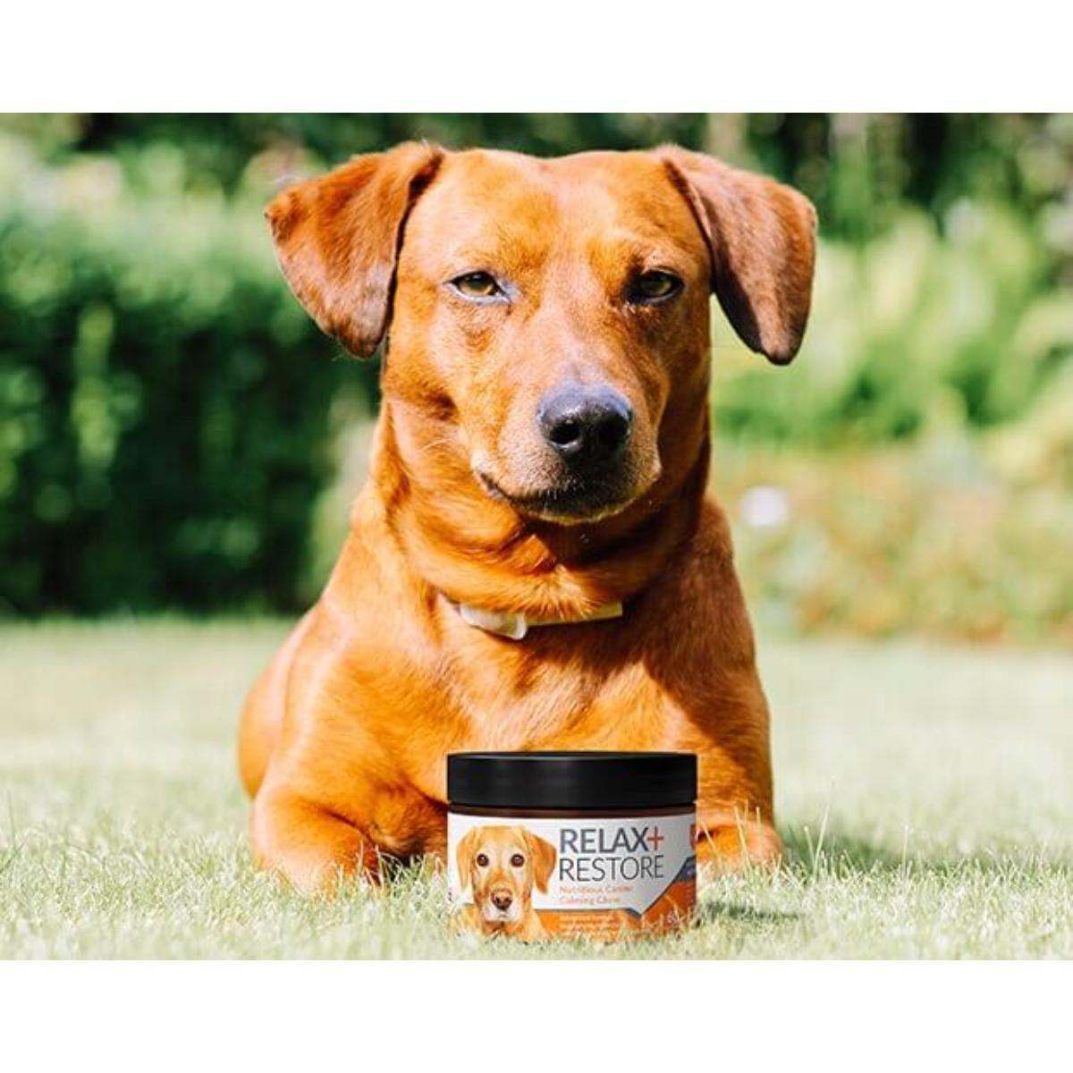 Relax & Restore calming supplement for dogs in resealable pouch