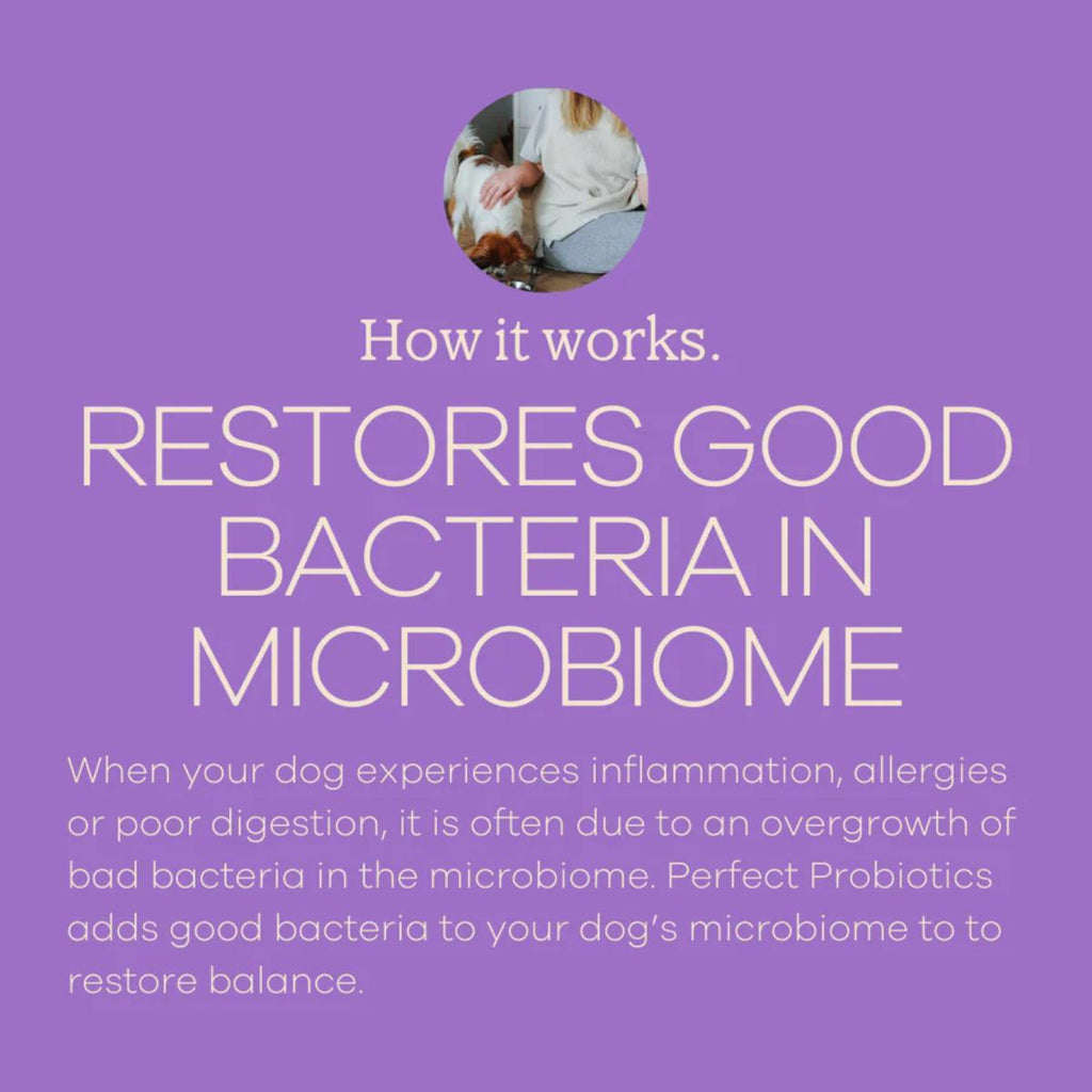 Yumwoof Perfect Probiotics dog supplement chewable tablet bottle product image