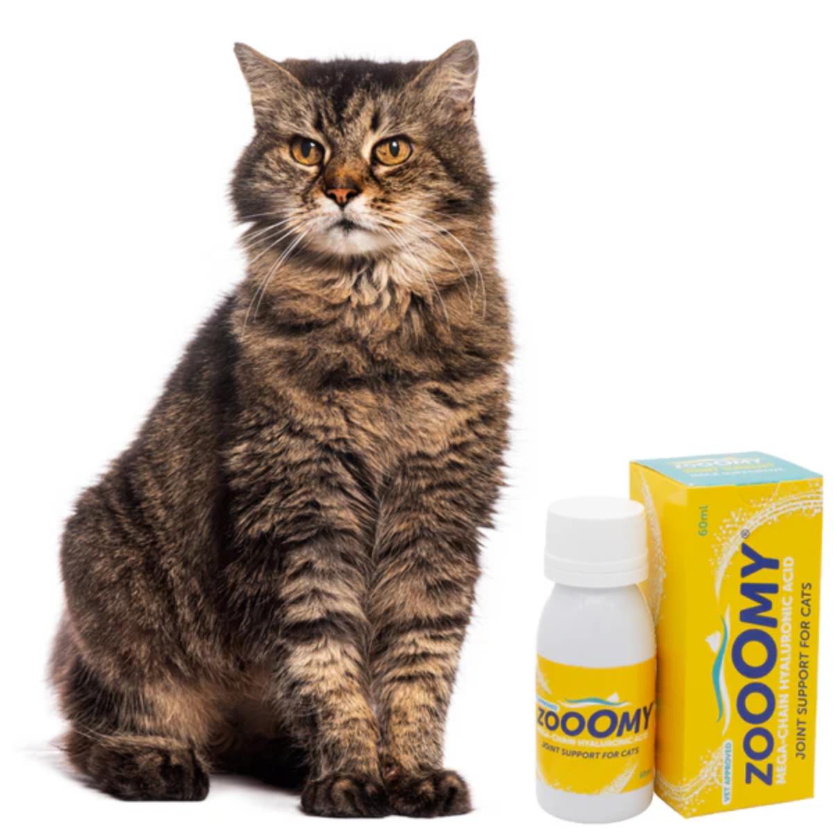 Zooomy hyaluronic acid joint support supplement for cats